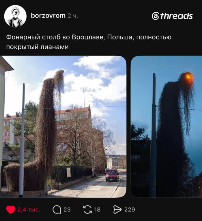 Готовы к дозе позитива? Держите подборку интернет‑юмора — пусть день станет чуточку веселее! 😄 Представляем, здесь, голосПредыдущая, смеяться, Приготовьтесь, настроение, поднимет, гарантированно, который, отборный, скуке, вашему, Забудьте, интернета, глубин, прямиком, комментариев, мемов, подборку, огромную