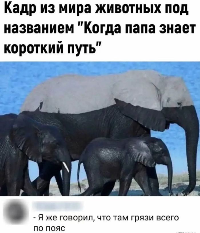 картинка b378b0cbef zarjazhaemsja pozitivom na ves den 4