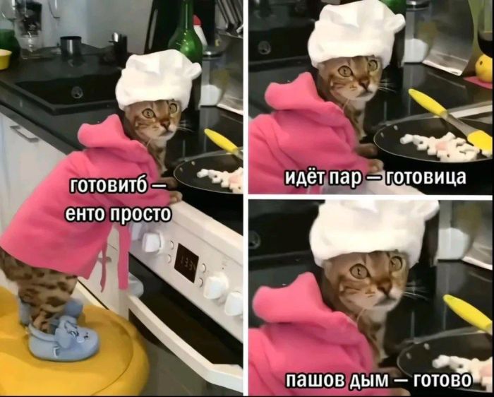 картинка b3b2f6ccfc 00000000