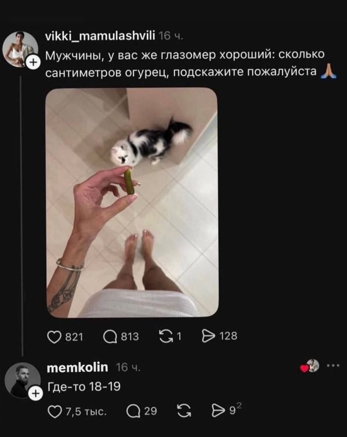 картинка b6916ec22a ostorozhno uroven poshlosti zashkalivaet 5