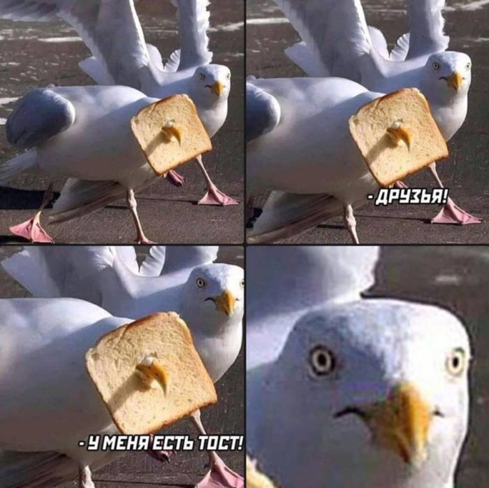 Устали от серых будней? У нас есть «лекарство»! 💊