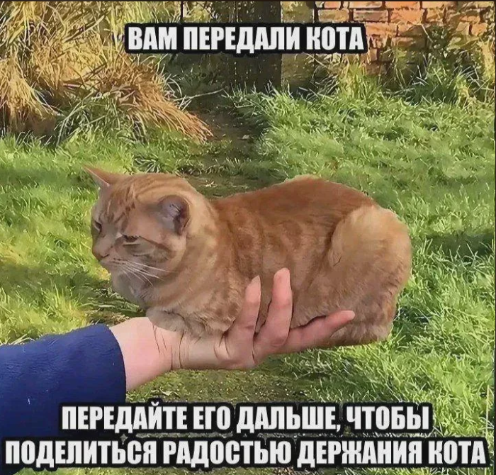 Ура, пятница! 🎉Лучший юмор для настроения!