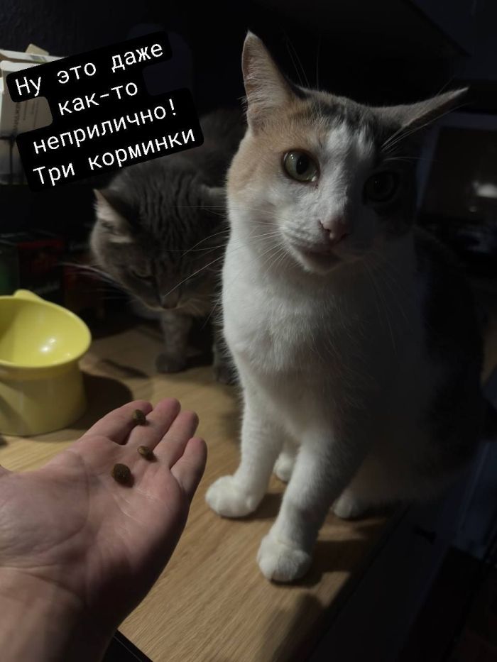 картинка c2e6ca60fd 0000000000