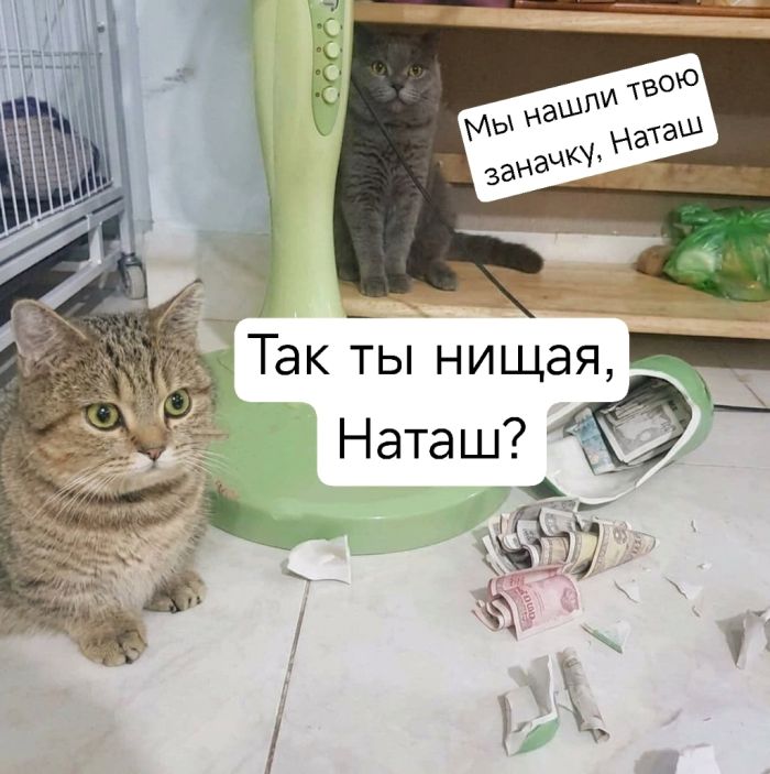 Улыбнись этому дню! Сборник самых смешных мемов и прикольных картинок для твоего позитива!