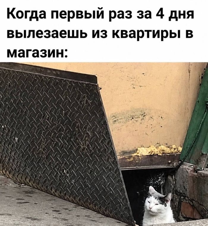 картинка c6124d1799 pjatnica lovim volnu pozitiva 9