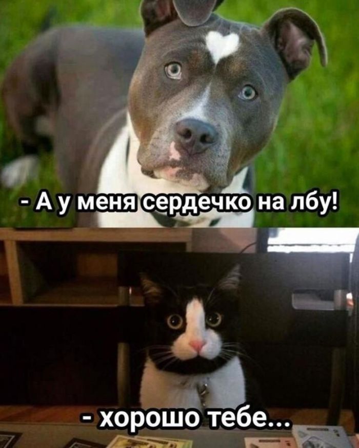 Пятница, мы тебя дождались! 🎉