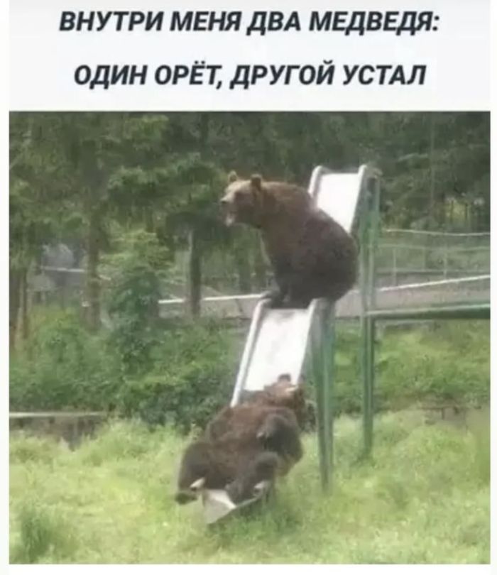 Пятница: порция юмора, чтобы дотянуть до выходных! 😄 чтобы, Конец, шуток, начались, выходные, вечера, самого, прилипла, улыбка, картинок, забавных, мемов, собрали, рабочей, посмеяться, просто, дедлайнах, мысли, откинуть, выдохнуть