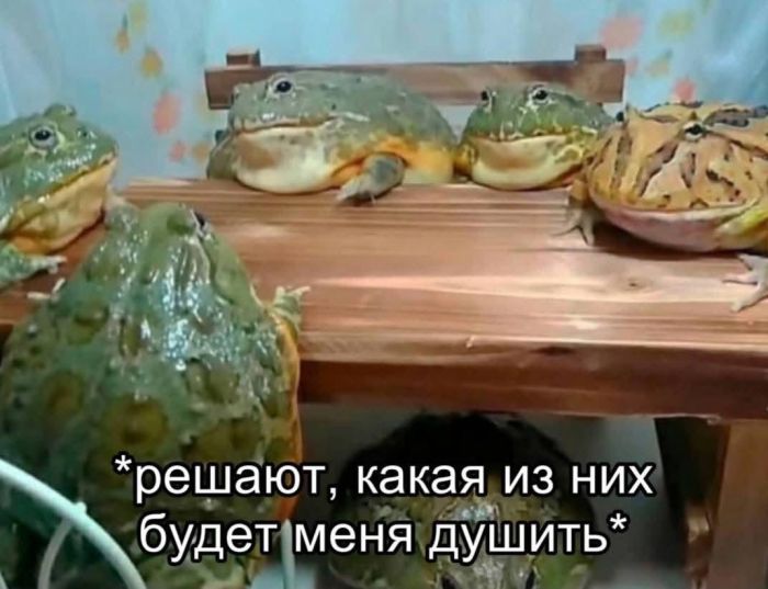 картинка ca85cf4761 000000000