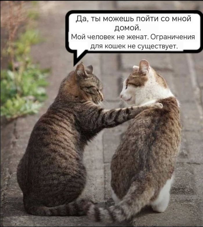 Устали от серых будней? У нас есть «лекарство»! 💊 Устали от серых будней? У нас есть «лекарство»! 💊 Друзья, сохраняйте, абсурдного, юмора, которого, сводит, скулы, Листайте, делитесь, которых, нужен, заряд, позитива👇, Заряжаемся, хорошим, настроением, прямо, узнаешь, ситуаций, знаем