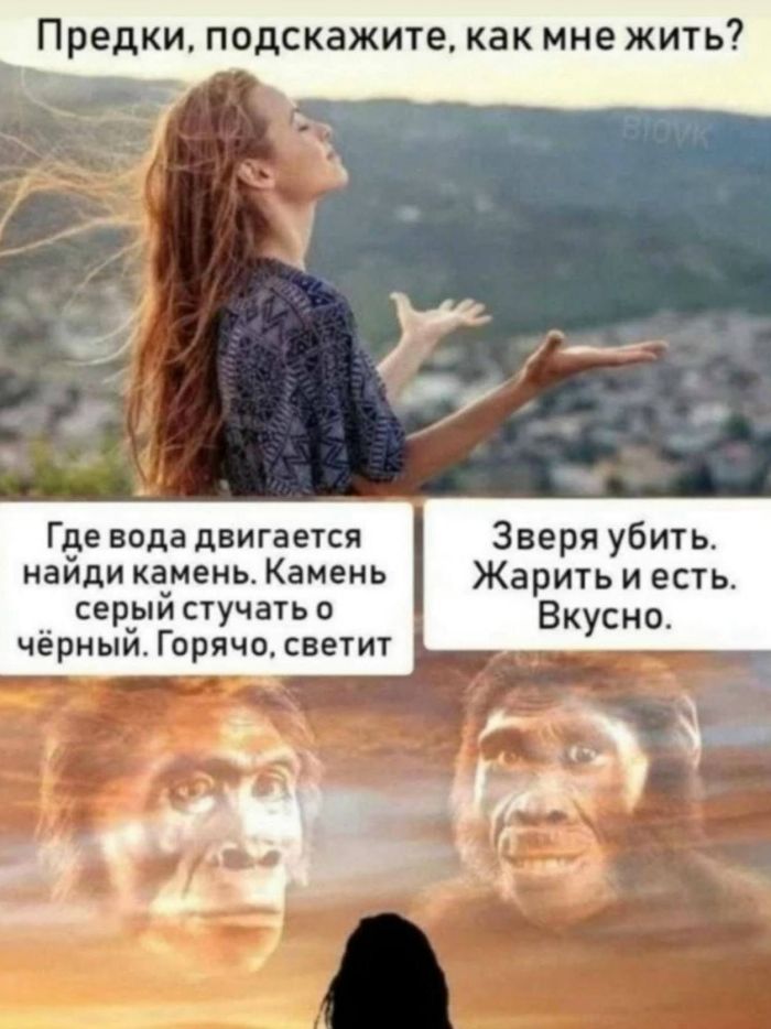 картинка cf39af3521 000000000