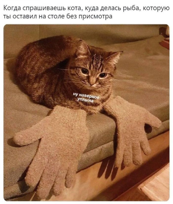 картинка dc75184774 00000000000000000