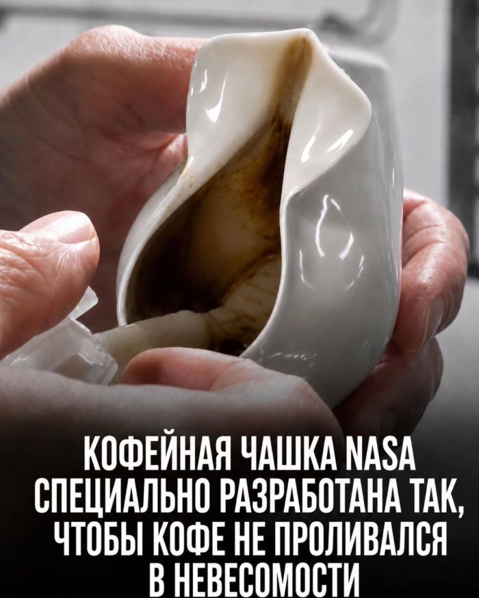 картинка e444132971 sreda jeto malenkaja pjatnica 8