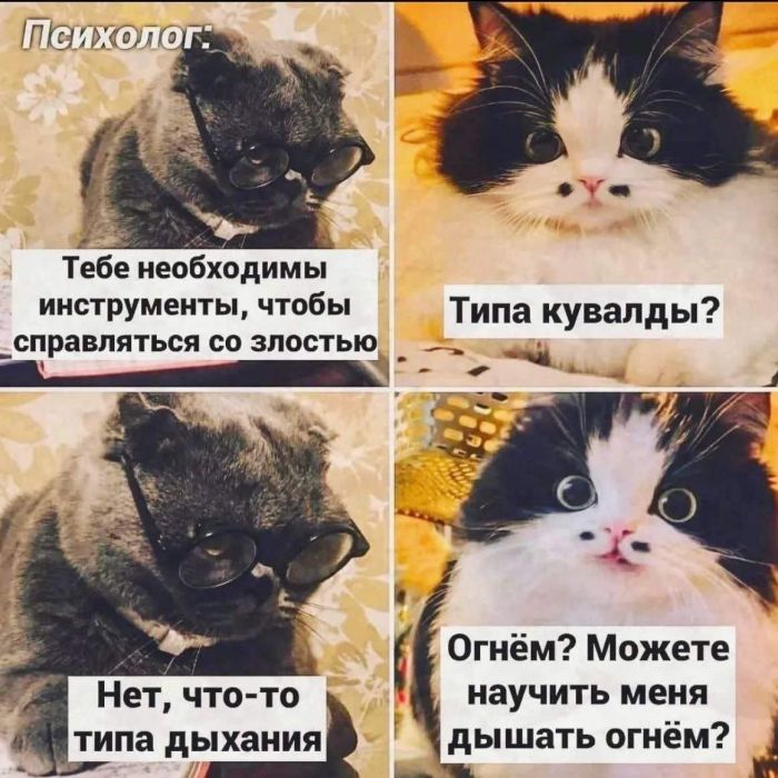 Мемы, над которыми хочется смеяться Мемы, над которыми хочется смеяться Привет, давайте, чистый, позитив, жизненные, Устраивайтесь, поудобнее, наливайте, улыбнемся, серьезности, вместеКакой, понравился, больше, всего, Пишите, комментариях, 💬Предыдущая, только, Никакой, проходит