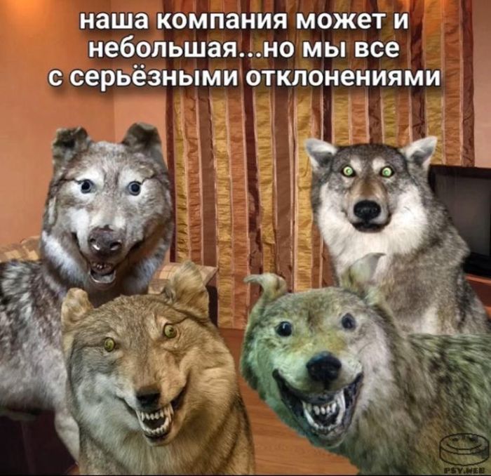 Когда до пятницы — целая вечность: порция юмора, чтобы дотянуть до выходных! 😄 исходе, собрали, позитивом, работеЗаряжаемся, сейчас, каждый, поймет, которые, картинки, уморительные, самые, юмора, пятницы, свежего, порцией, Заряжайтесь, спасти, чтобы, здесь, переживайте