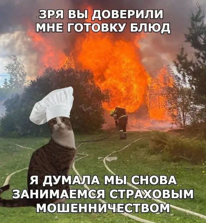 картинка f2170fd543 perezagruzka cherez jumor porcija internetklassiki chtoby ulybnutsja 15