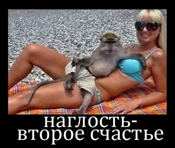 картинка f5dc48c055 ostorozhno dalshe budet ochen smeshno no tolko dlja teh kto cenit chernyj jumor 11
