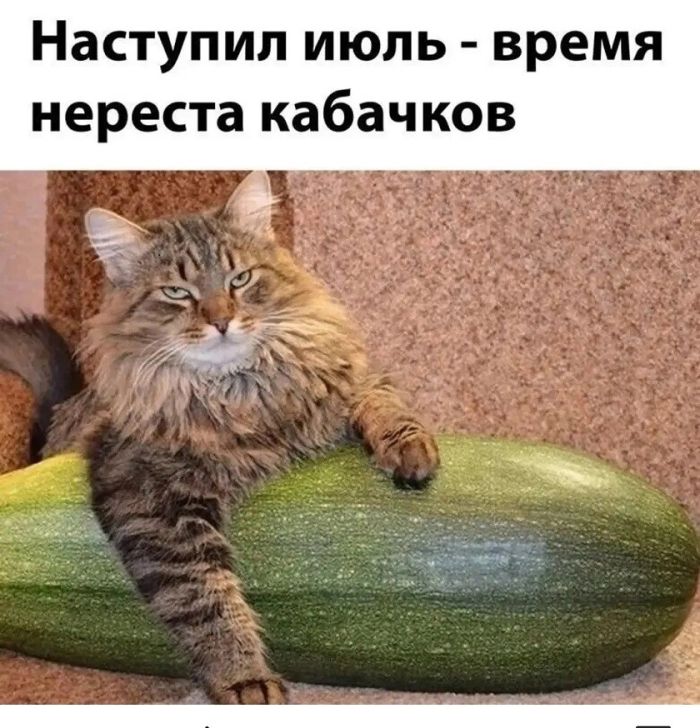 картинка f7f1278f12 ostorozhno uroven toksichnosti zashkalivaet 14