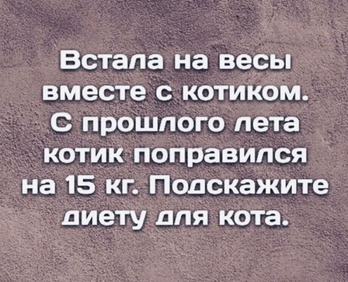 картинка fbdfb500a7 zabudte pro politkorrektnost vremja dlja jumora za kotoryj v prilichnom obschestve 20