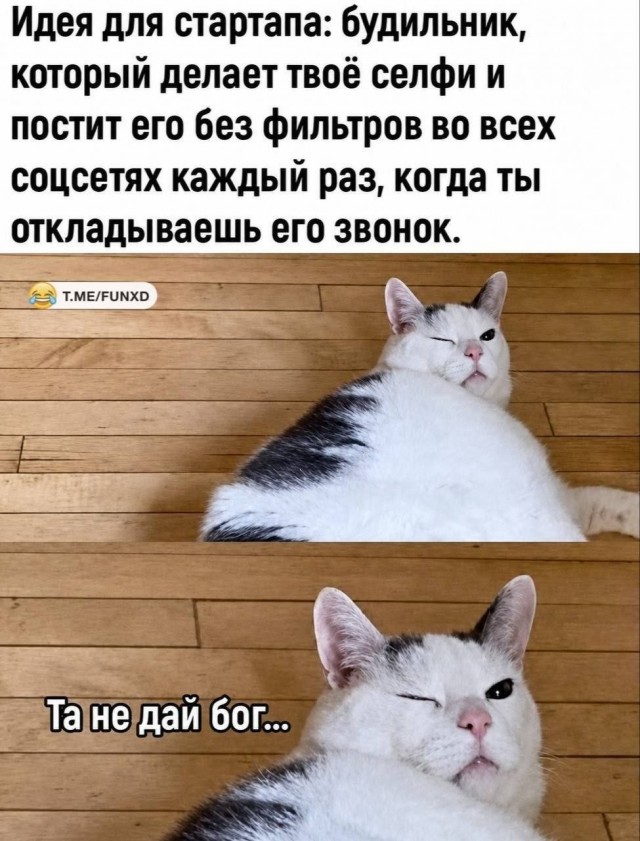 картинка 010afc06fa 21181161