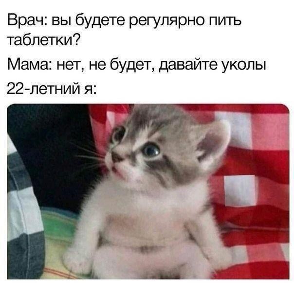 картинка 02ced9fbce 21184005