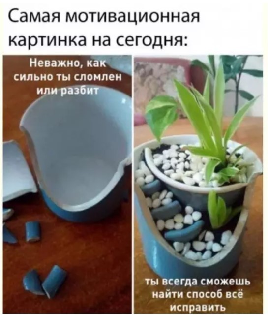 Пятница — маленькая жизнь! 🚀 дождались, последние, которые, поймет, каждый, сегодня, трудом, досиживает, офисе, коллекцию, Листайте, смейтесь, пусть, пролетит, незаметно👇, Заряжаемся, отличные, мемов, юмораСобрали, официально