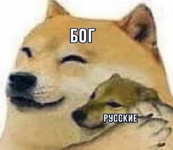 картинка 068755ad2c 0000000000000000