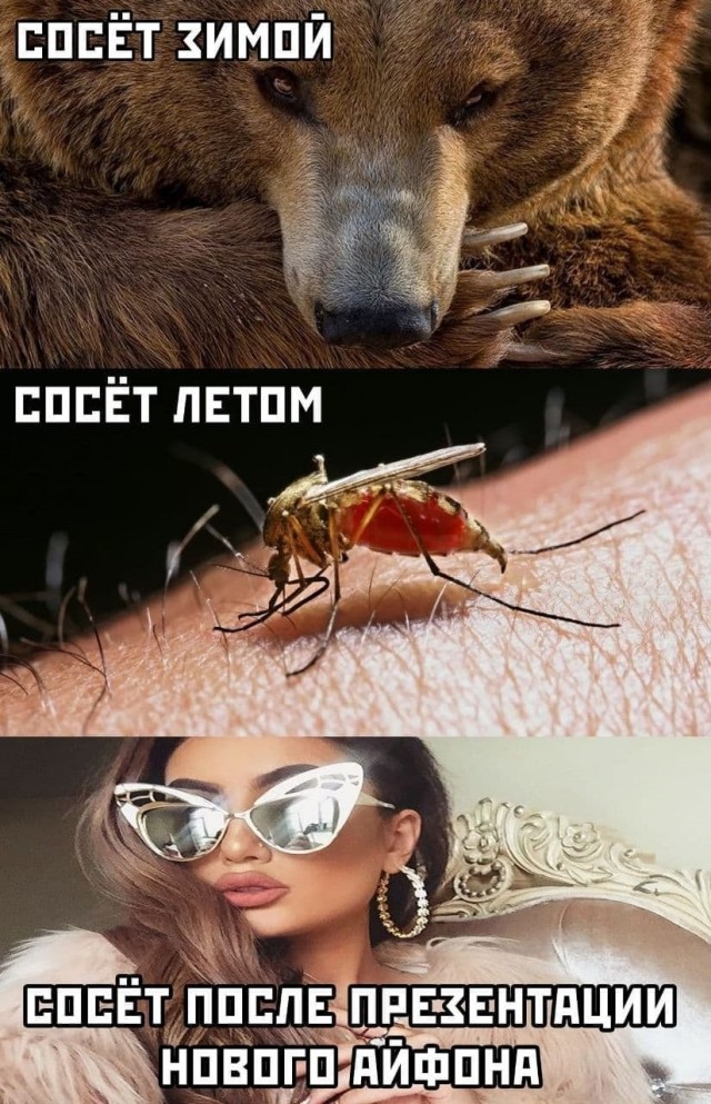 картинка 071e4b49b3 21180989