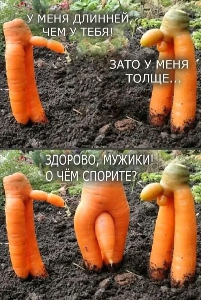 картинка 079473df6a ostorozhno uroven cinizma zashkalivaet 6