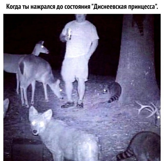 картинка 087072a9b1 21203950