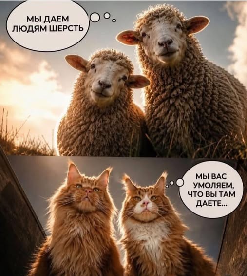 картинка 08b814b86f vash antidepressant na segodnja porcija memov 22