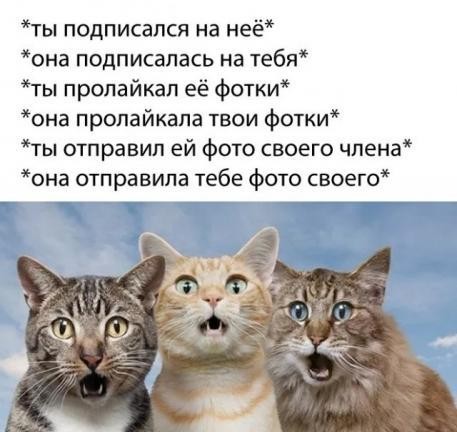картинка 08e1e21ac3 21181912