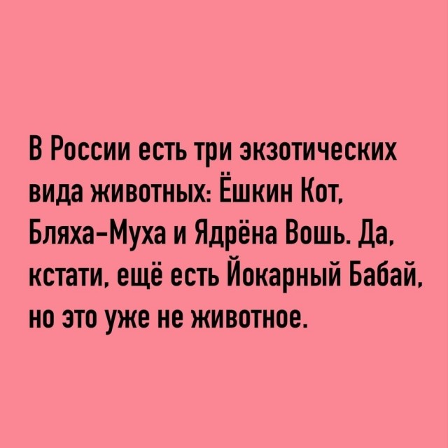 картинка 09144ca4d3 21164443