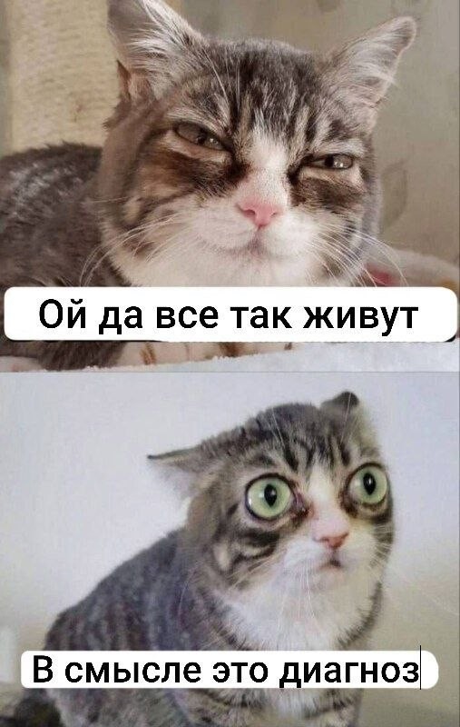 картинка 09b26bccc2 21149635