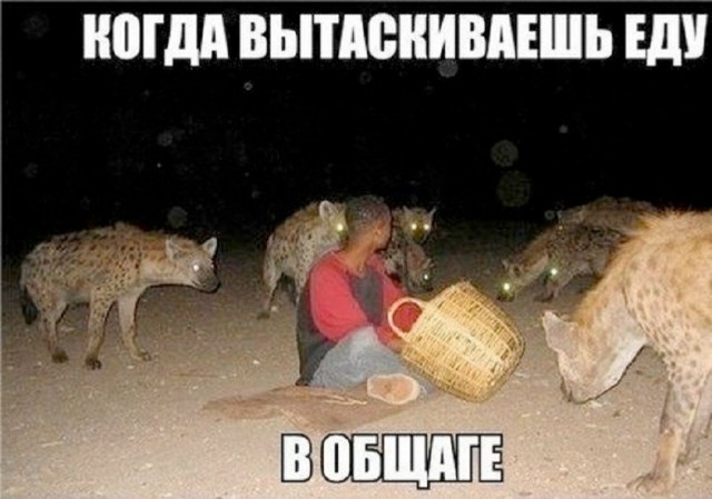 картинка 0cc24af0ea 21164442