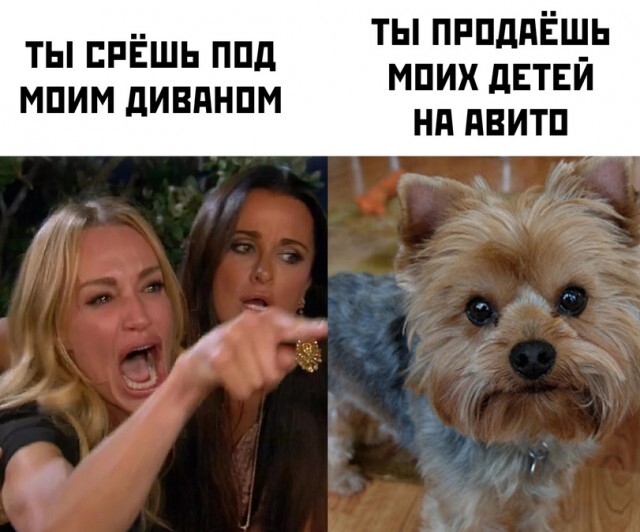 картинка 0d1eeb98a4 0000