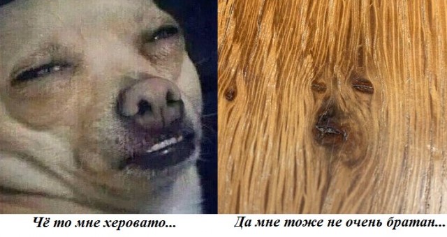 картинка 0d606294b0 21152970