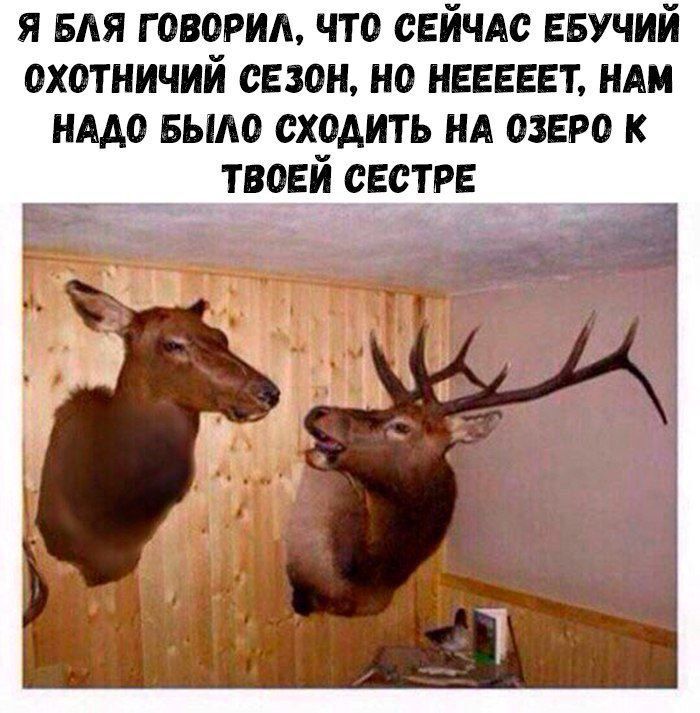 Пятничная порция юмора: поднимаем настроение перед выходными! ✨