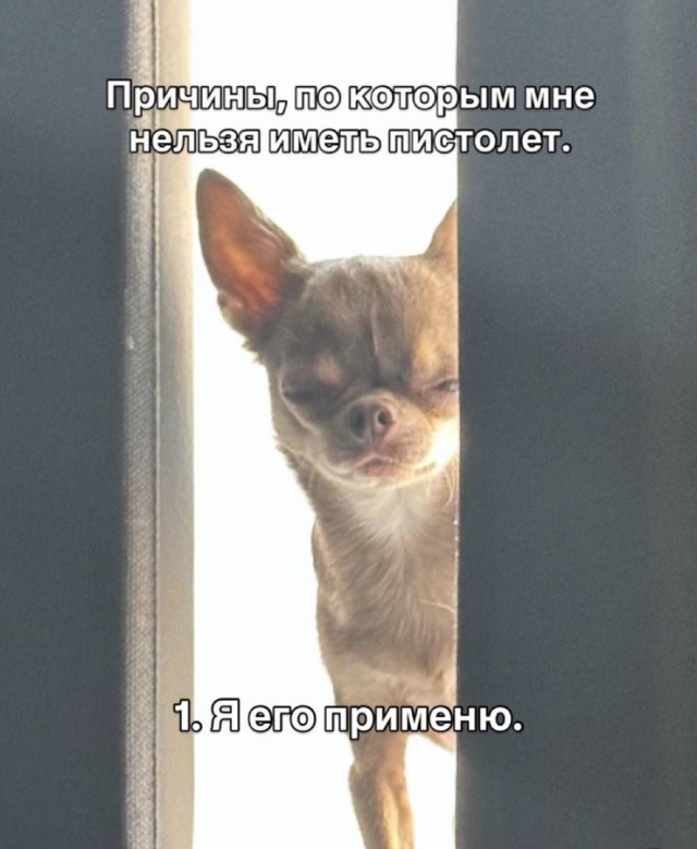🔥 Рубрика: «Антистресс-пачка мемов» 🔥 задался, доделать», позитива, 😄Пусть, минут, будут, «надо, срочно, правда, только, будет, хорошо, какой, сегодня, Кидайте, комментарии, посмеёмся, лёгкий, Листайте, пролился