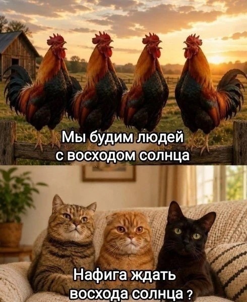 Пятница — официальный день «выживших»! 🥂 друзья, офисе, настроением, заряжайтесь, смейтесь, Листайте, момент, неделю, каждый, поймет, которые, юмора, отборного, порцию, собрали, удаленке, последние, дожили, казаться, Пятница