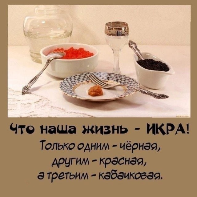 картинка 1305264c88 21138055