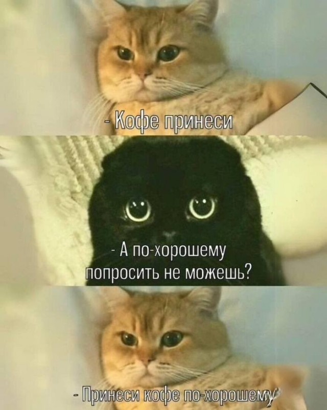 картинка 1837db1825 21134568