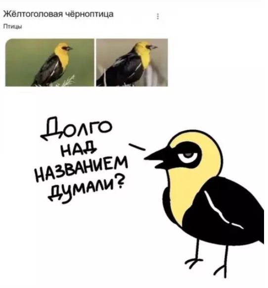 картинка 1a8bccc311 21135793