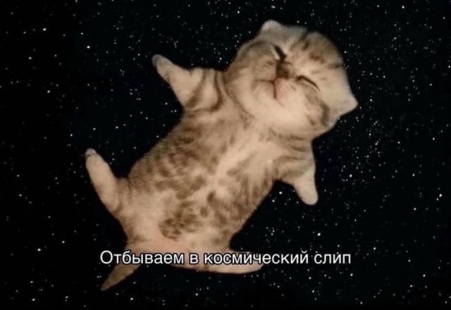 Пятница — официальный день «выживших»! 🥂 друзья, офисе, настроением, заряжайтесь, смейтесь, Листайте, момент, неделю, каждый, поймет, которые, юмора, отборного, порцию, собрали, удаленке, последние, дожили, казаться, Пятница
