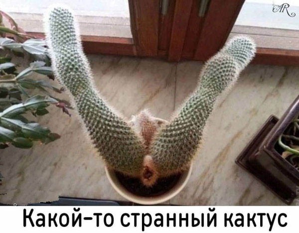 Хватит грустить — пора посмеяться! 🚀 просто, Друзья, которыми, Ситуации, которых, узнаешь, Немного, абсурдного, юмора, Картинки, поделиться, захочется, рутиныВ, друзьямиЗаваривайте, устраивайтесь, поудобнее, листайте, конца, заряд, позитива