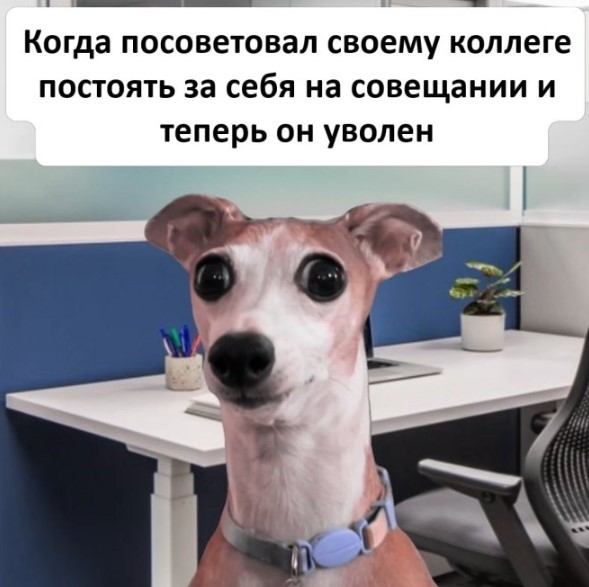 Пятница — маленькая жизнь! 🚀 дождались, последние, которые, поймет, каждый, сегодня, трудом, досиживает, офисе, коллекцию, Листайте, смейтесь, пусть, пролетит, незаметно👇, Заряжаемся, отличные, мемов, юмораСобрали, официально