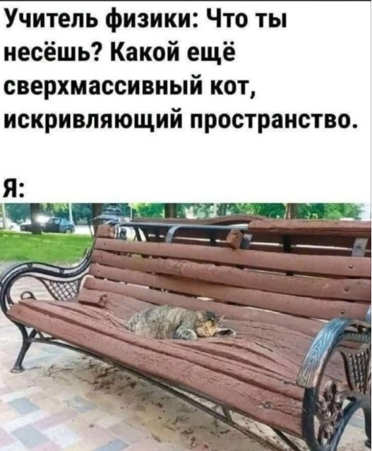 картинка 1ec1f931c1 21122266