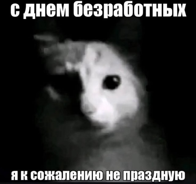 картинка 20267291eb 21134551
