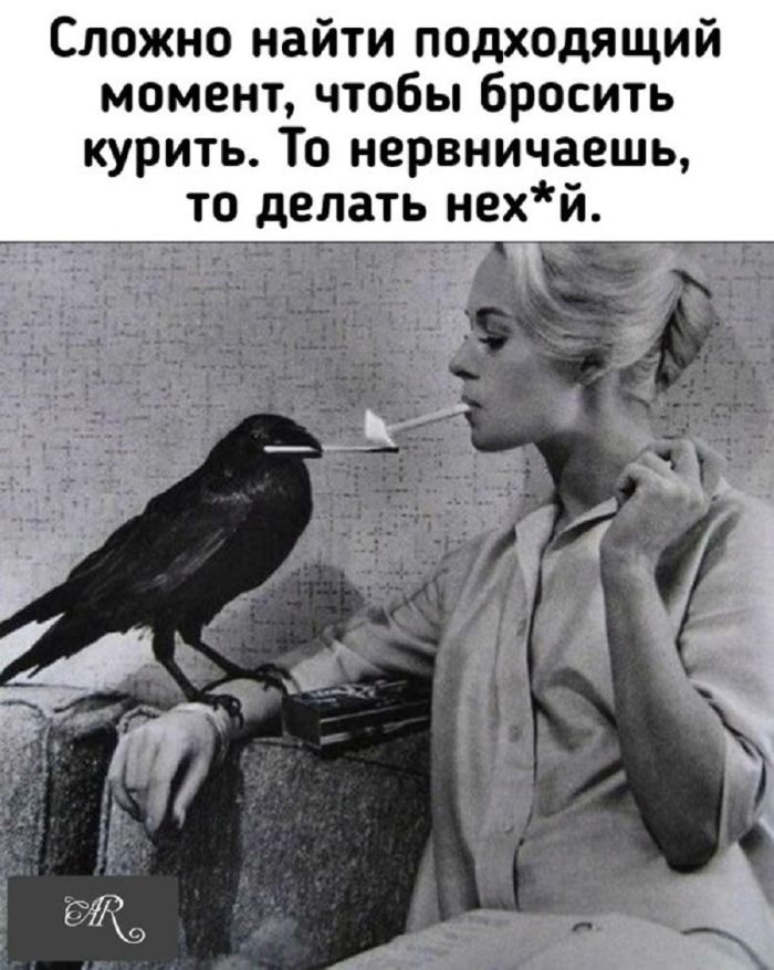картинка 22c2838f0e kogda dazhe kofe sdalsja a den uzhe proigral 12