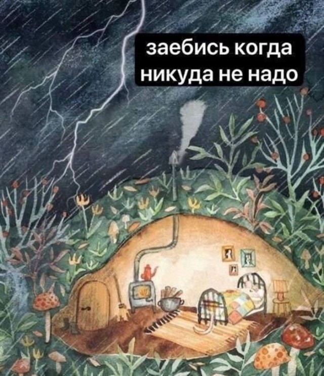 картинка 2406031fd4 21169642