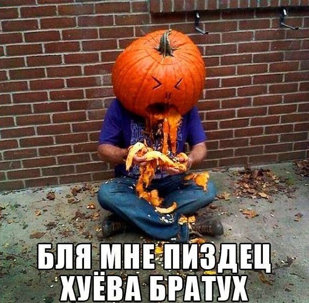 Рабочая неделя официально повержена! 🥊 Рабочая неделя официально повержена! 🥊 Чтобы, эндорфинов, самое, конца, собойЛистайте, улетучатся, мысли, рабочие, небес, подскочит, уровень, переход, Гарантируем, мемов, свежий, собрали, плавно, максимально, прошел, «выходные»
